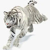 3D-modeller av vit tiger