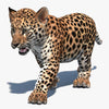 Baby Leopard 3D Models