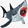 Great White Shark 3D Models