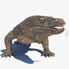 Lizard 3D Models