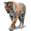 Animated Tiger 3D Models