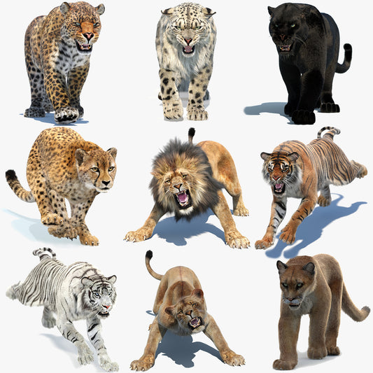 big-cats-ultimate-3d-models-bundle-9-animated-fur