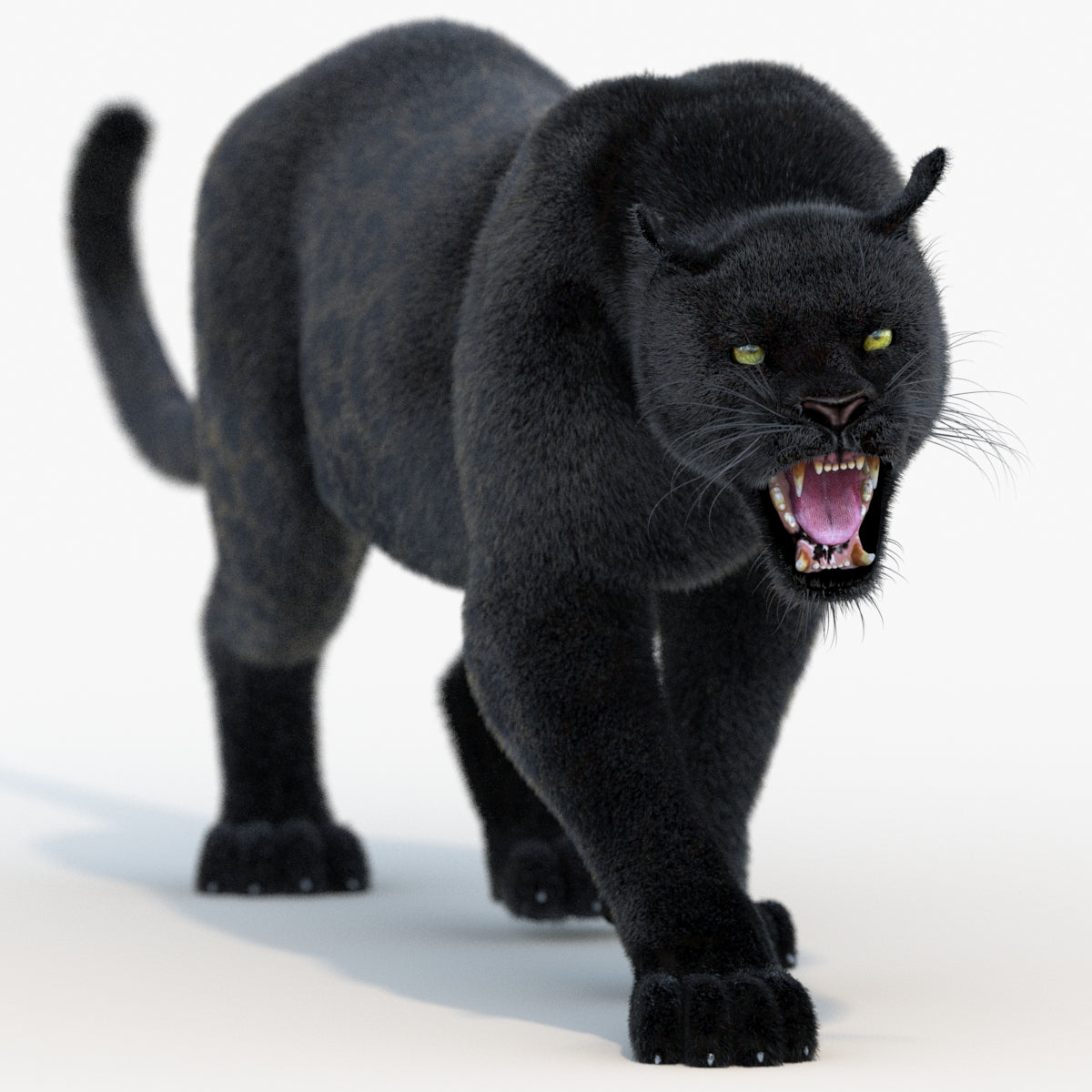 Animated Black Panther Animal 3D Model with Fur