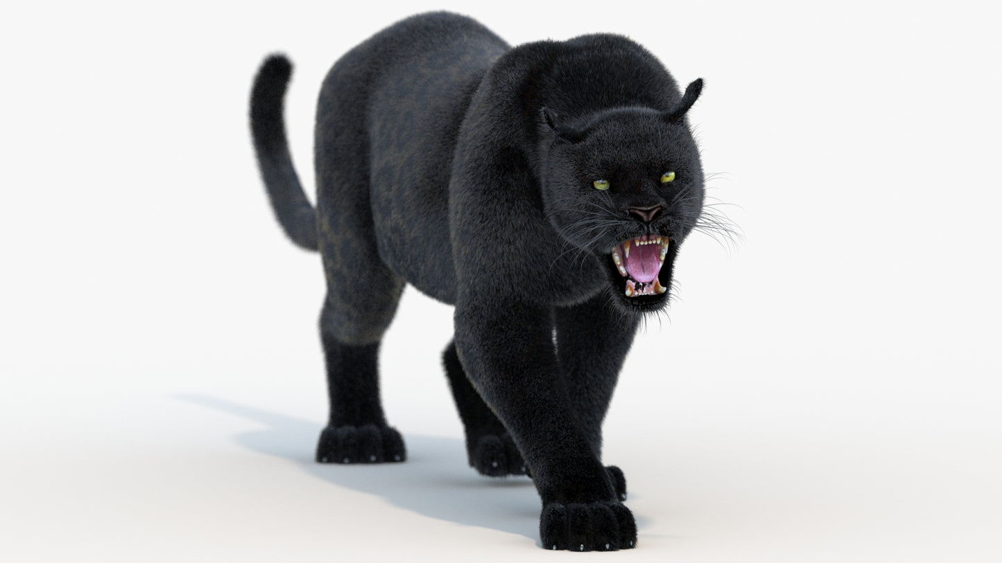 Animated Black Panther Animal 3D Model with Fur