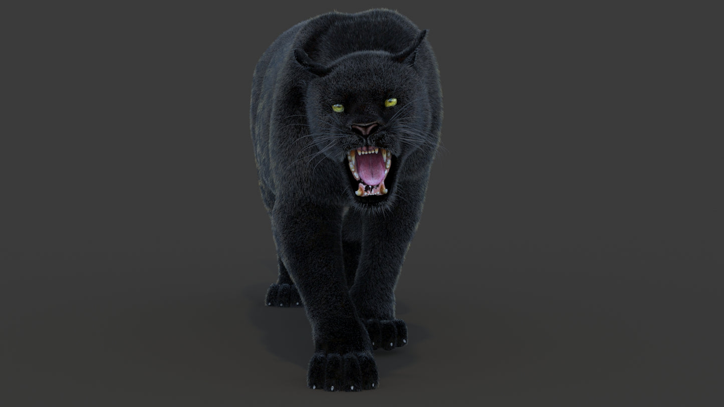 Animated Black Panther Animal 3D Model with Fur