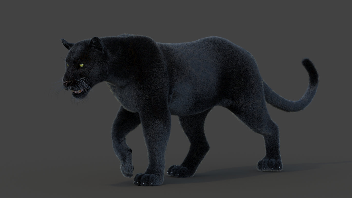 Animated Black Panther Animal 3D Model with Fur