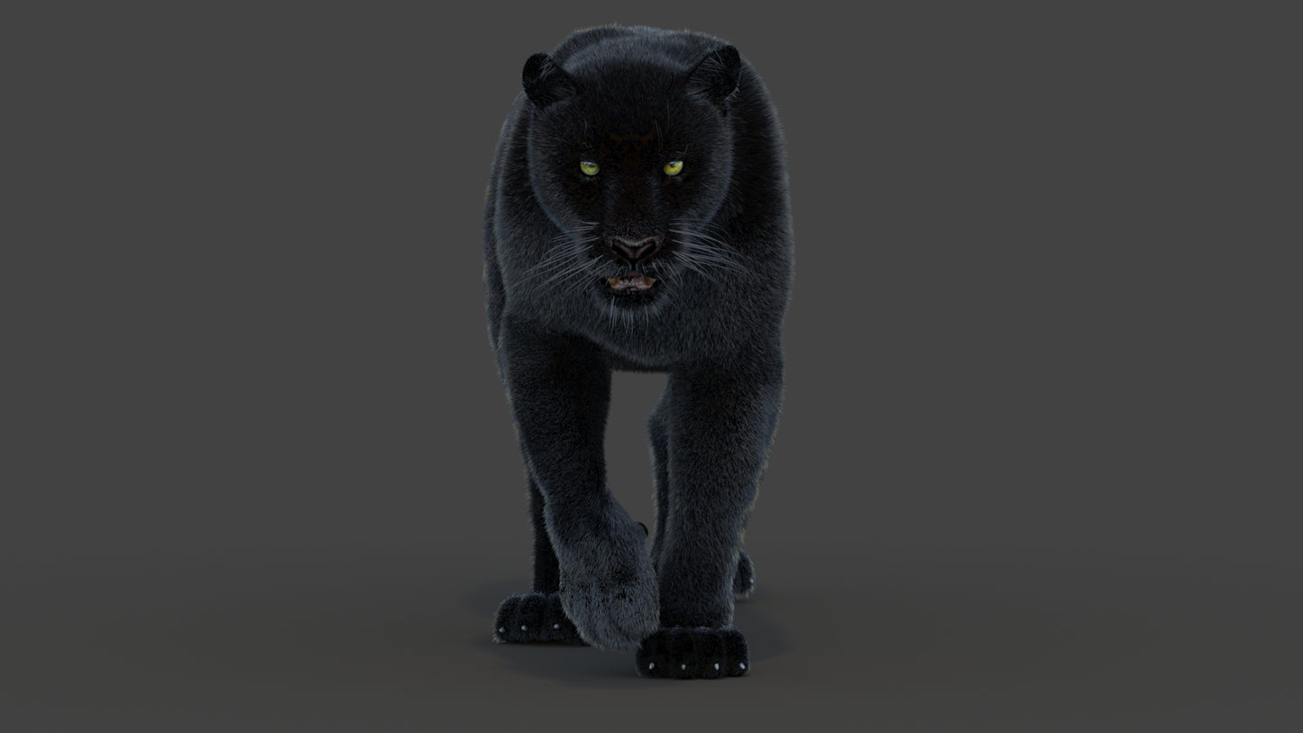 Animated Black Panther Animal 3D Model with Fur