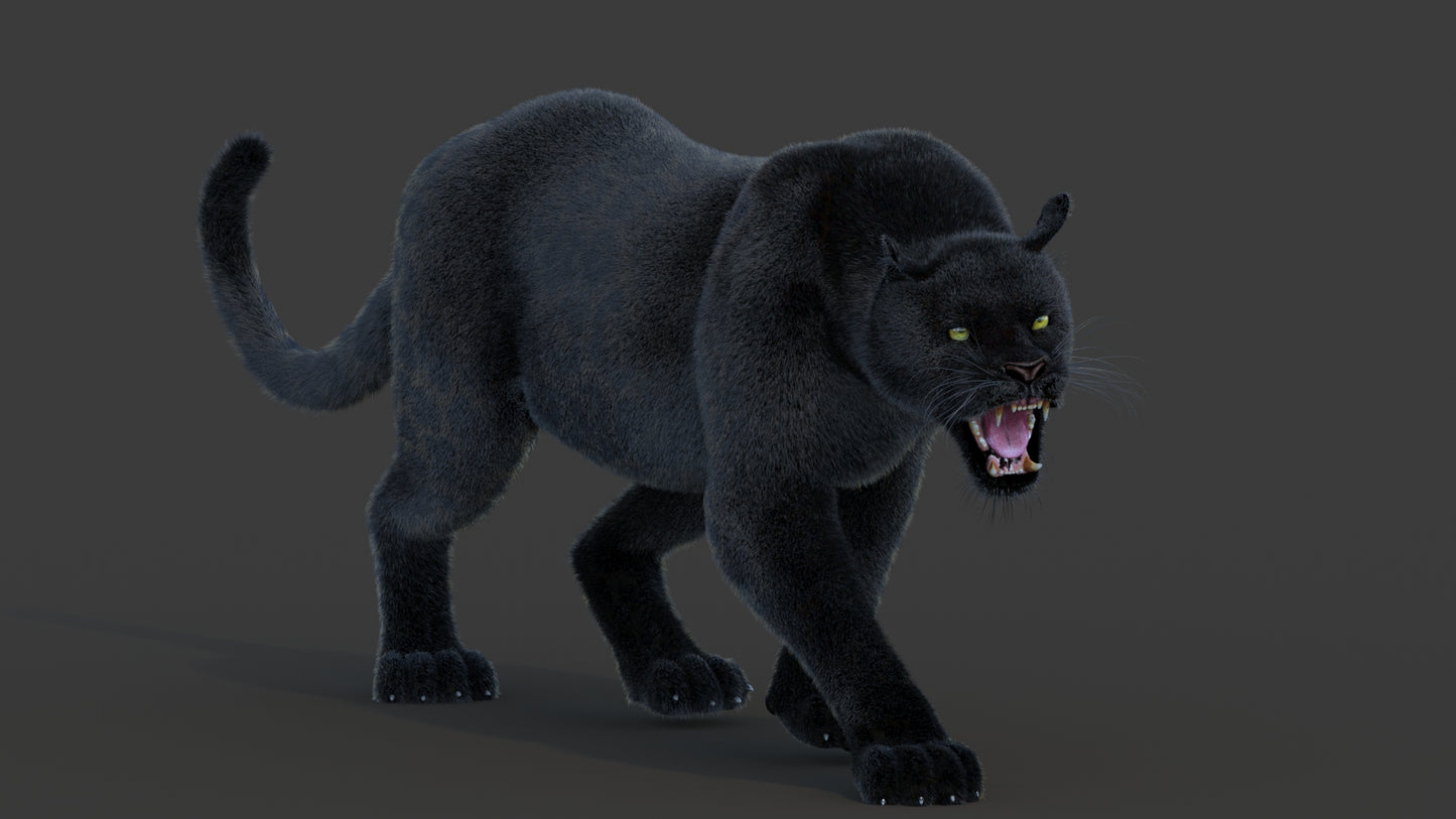 Animated Black Panther Animal 3D Model with Fur