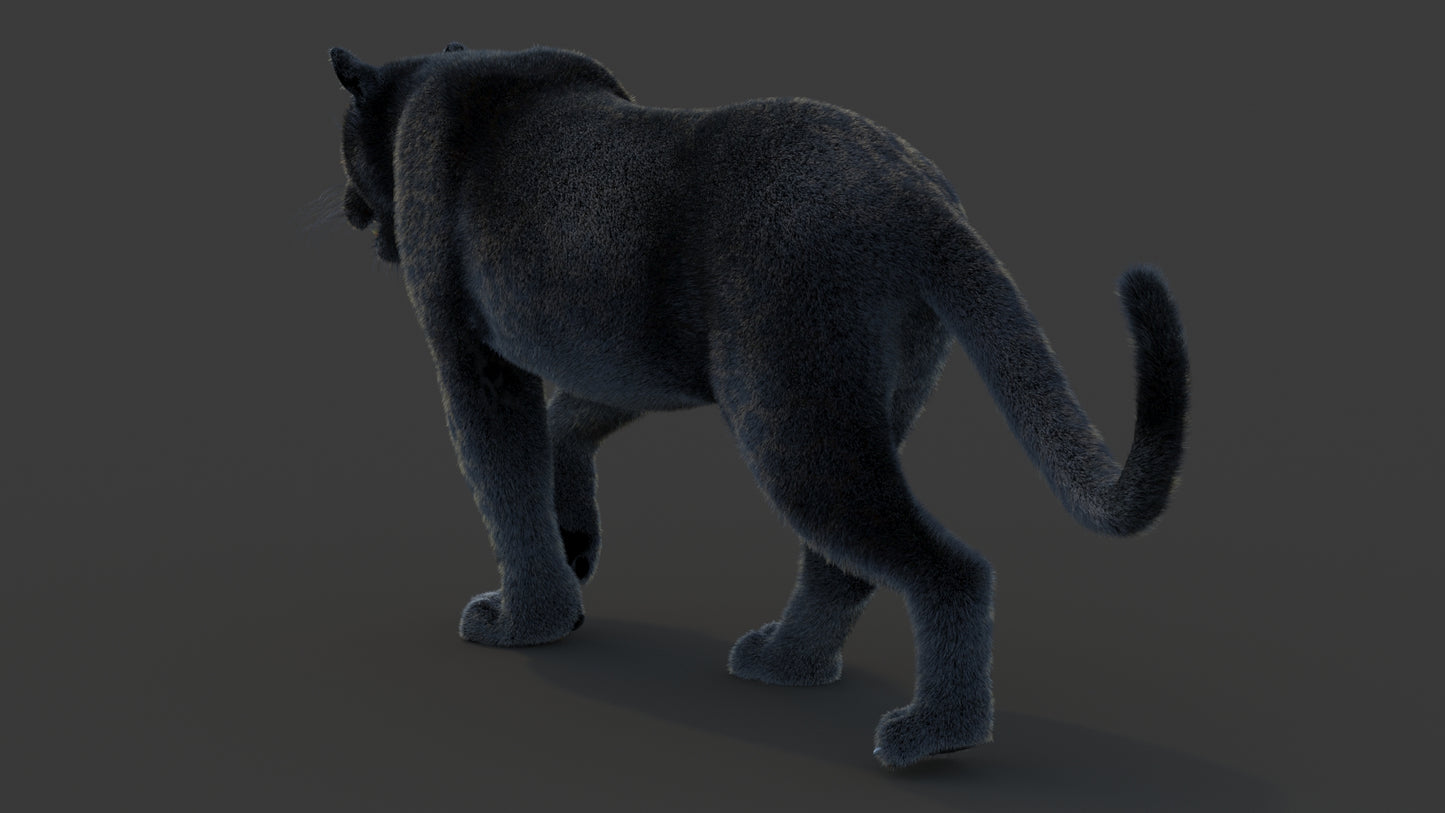 Animated Black Panther Animal 3D Model with Fur
