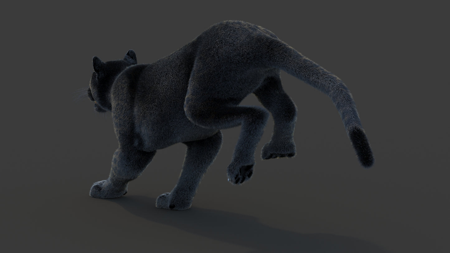 Animated Black Panther Animal 3D Model with Fur