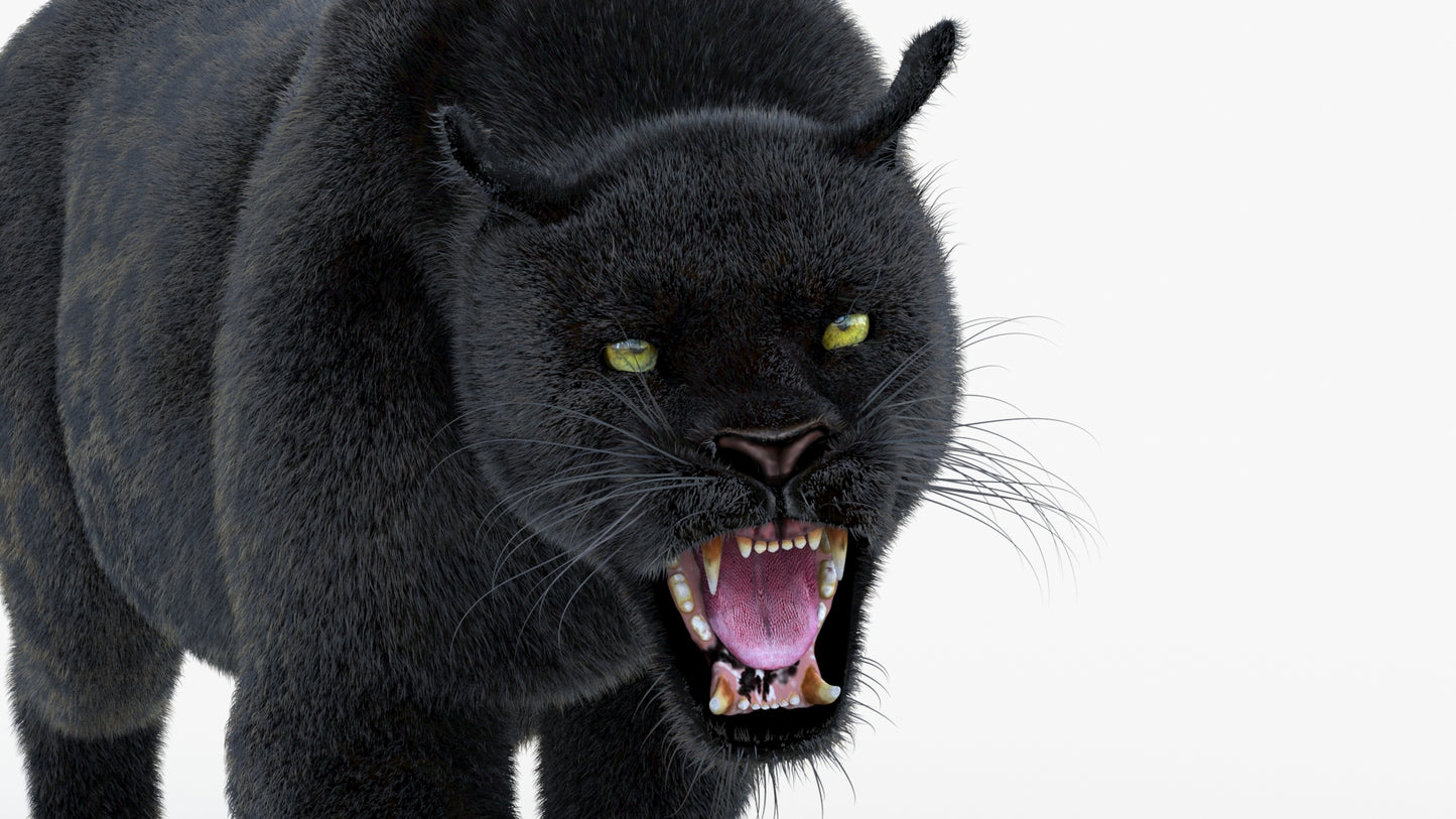 Animated Black Panther Animal 3D Model with Fur