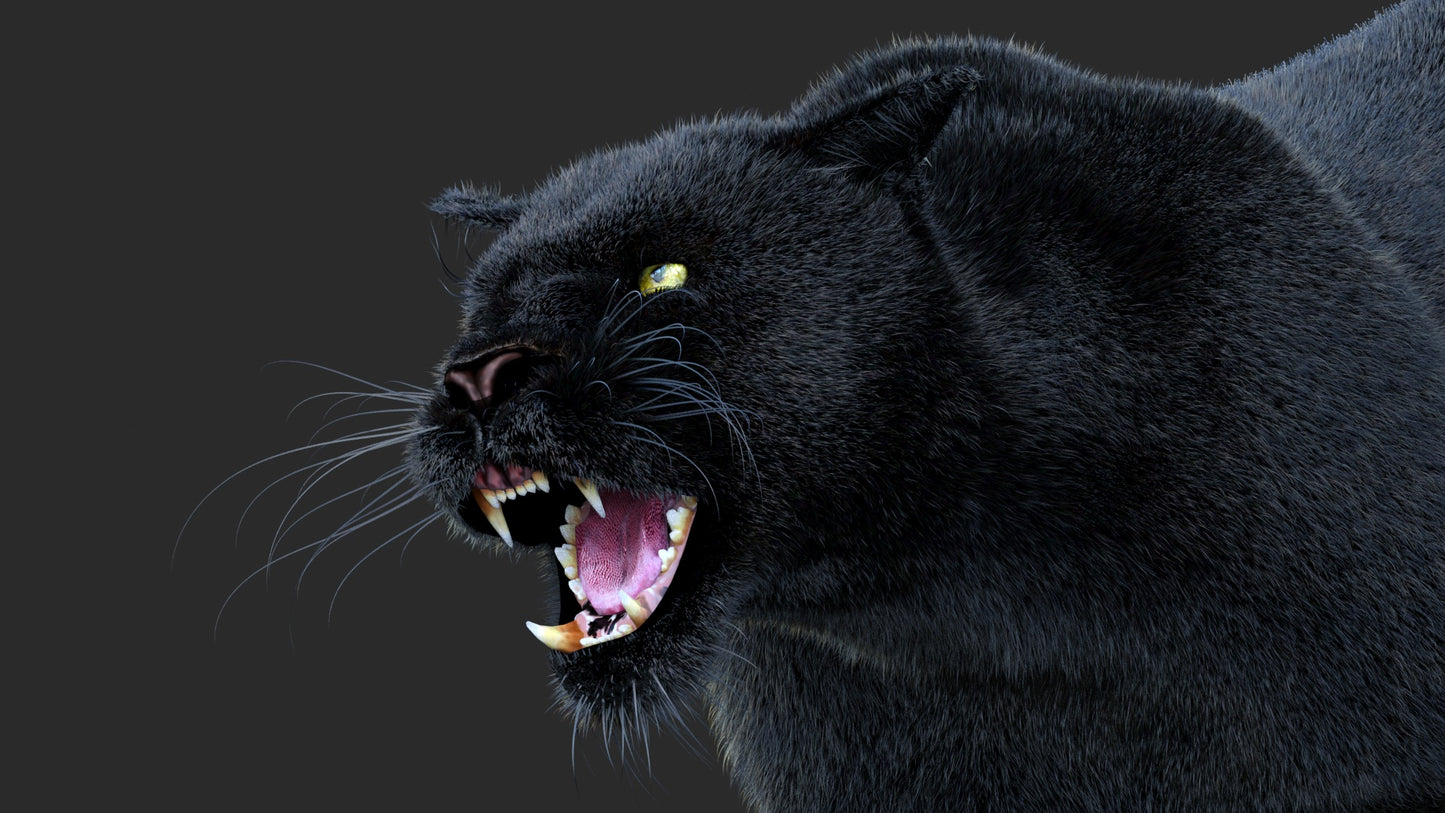 Animated Black Panther Animal 3D Model with Fur