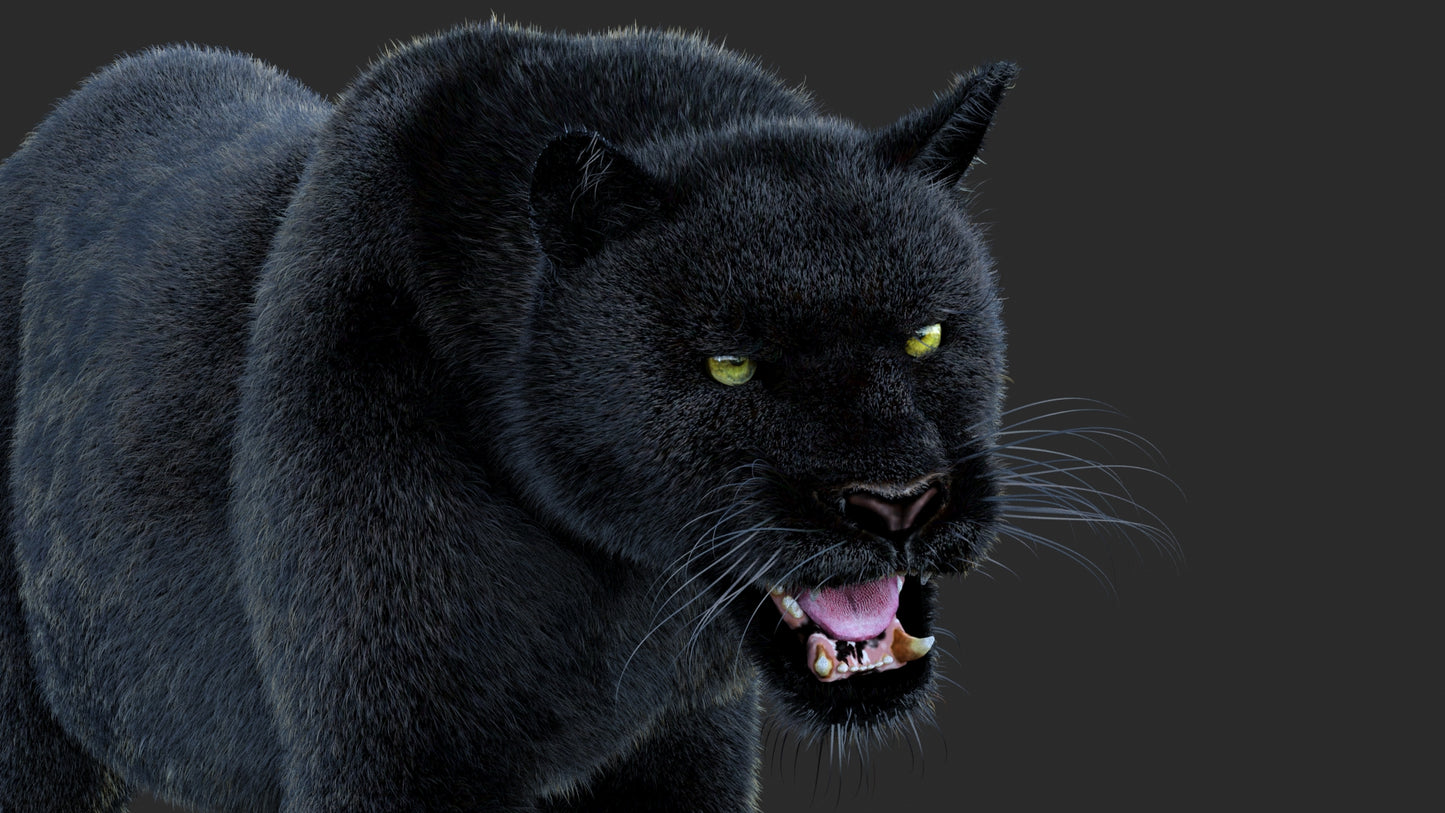 Animated Black Panther Animal 3D Model with Fur