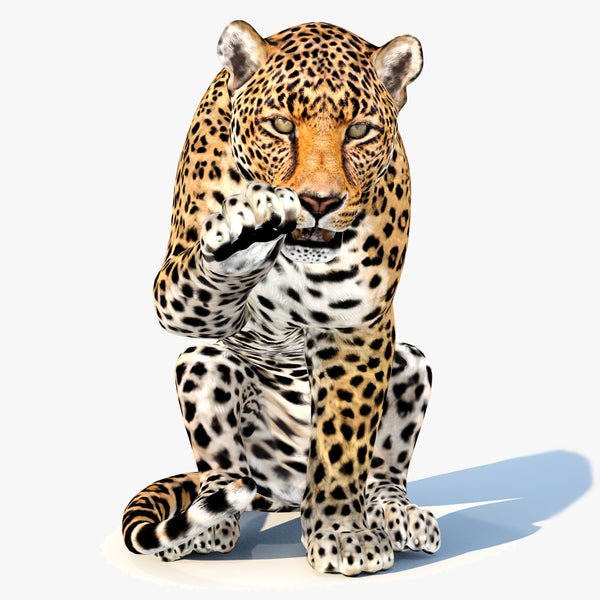 Leopard 3D Model Animated
