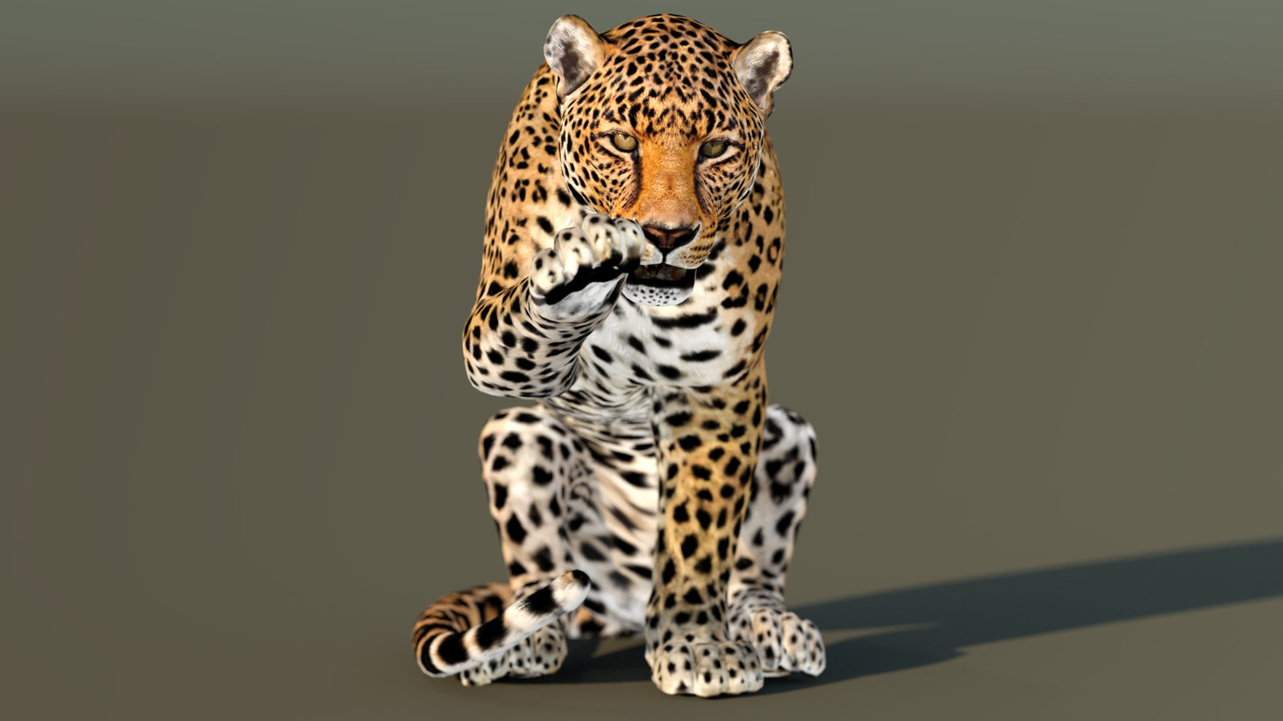 Leopard 3D Model Animated