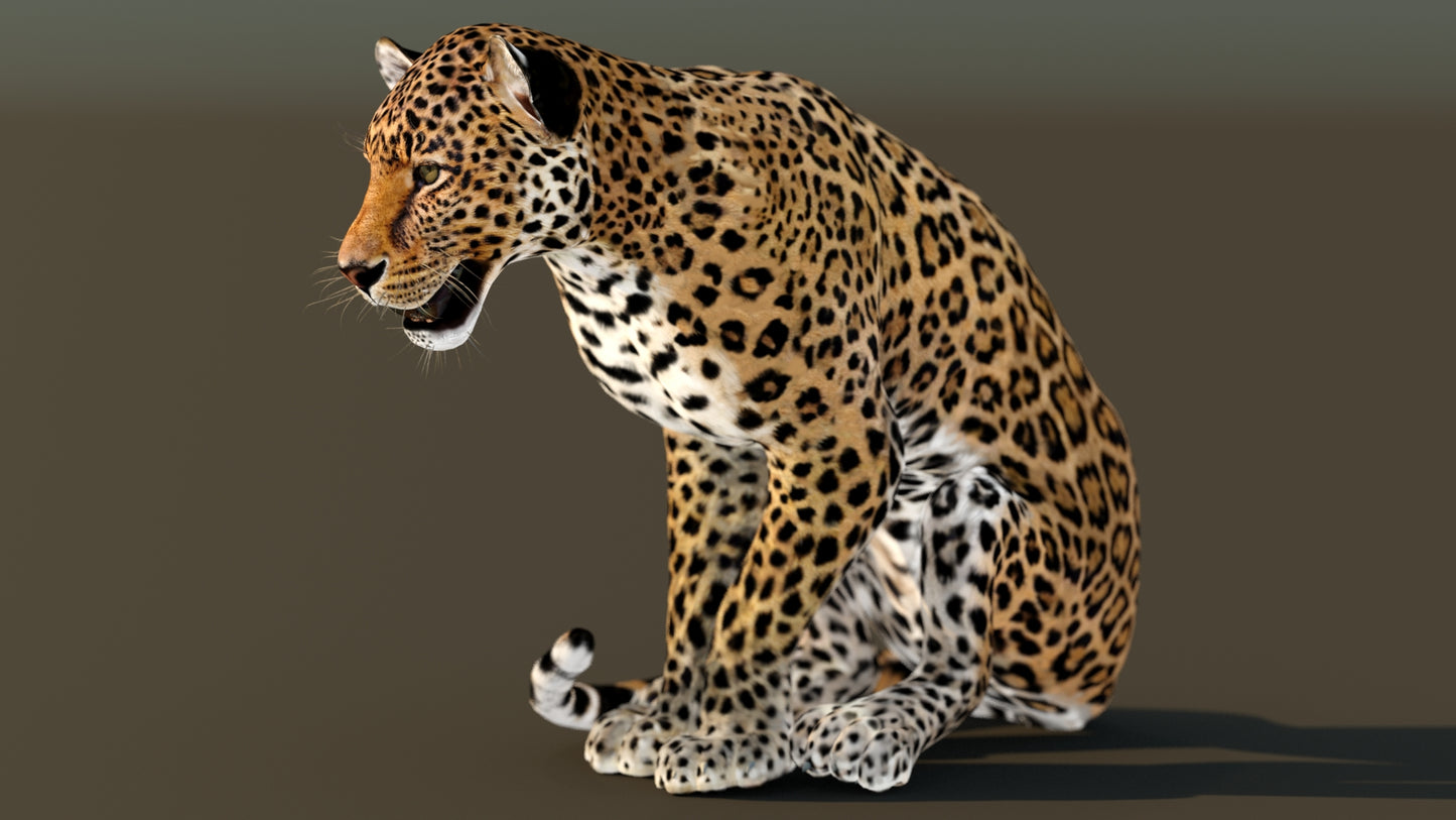 Leopard 3D Model Animated
