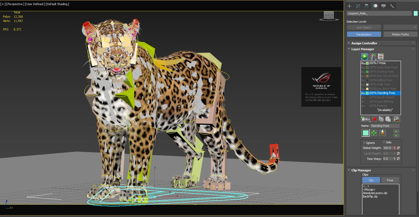 Leopard 3D Model Rigged with Fur