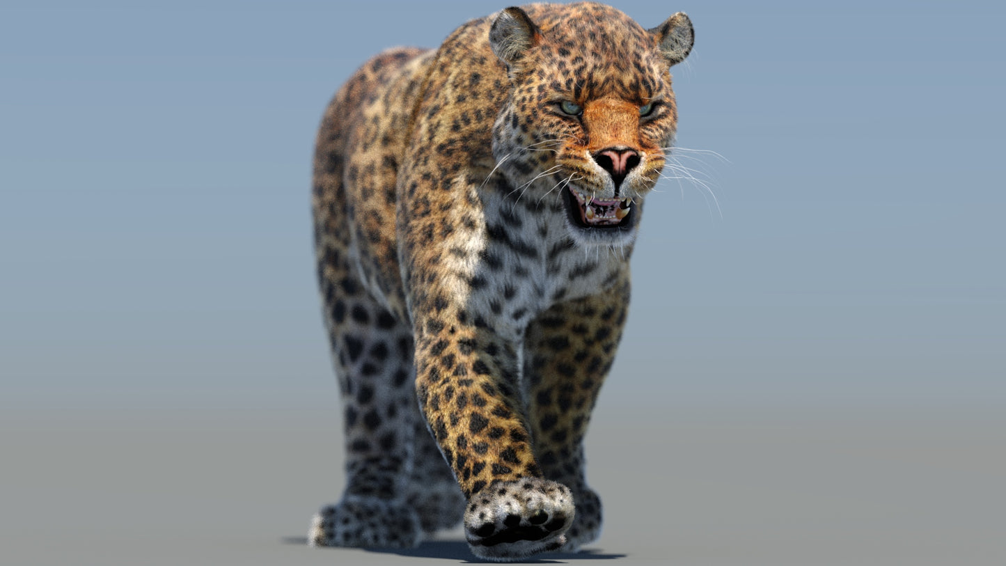 Leopard 3D Model Animated Fur