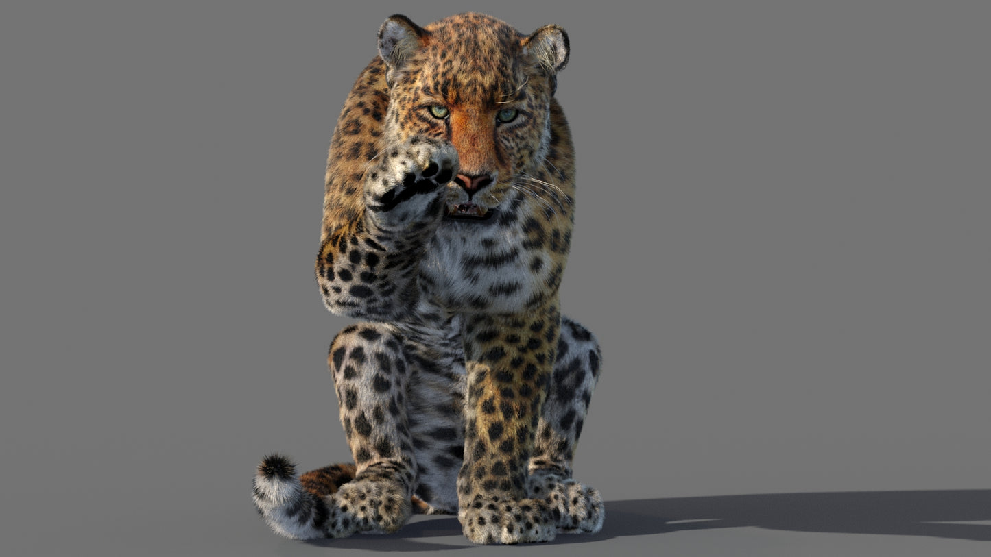 Animated Leopard 3D Model with Fur