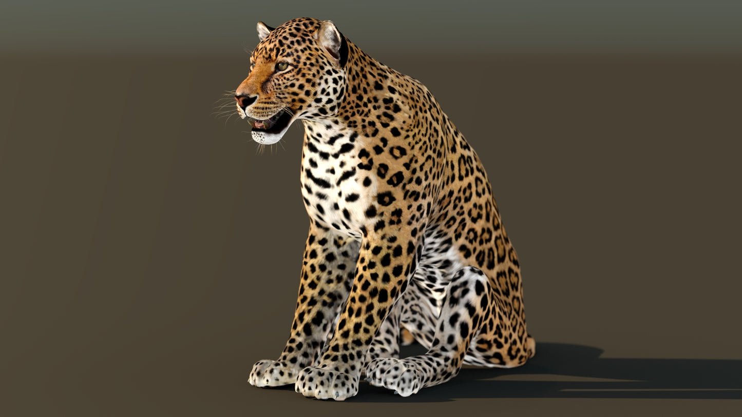 Leopard Rigged 3D Model for Download