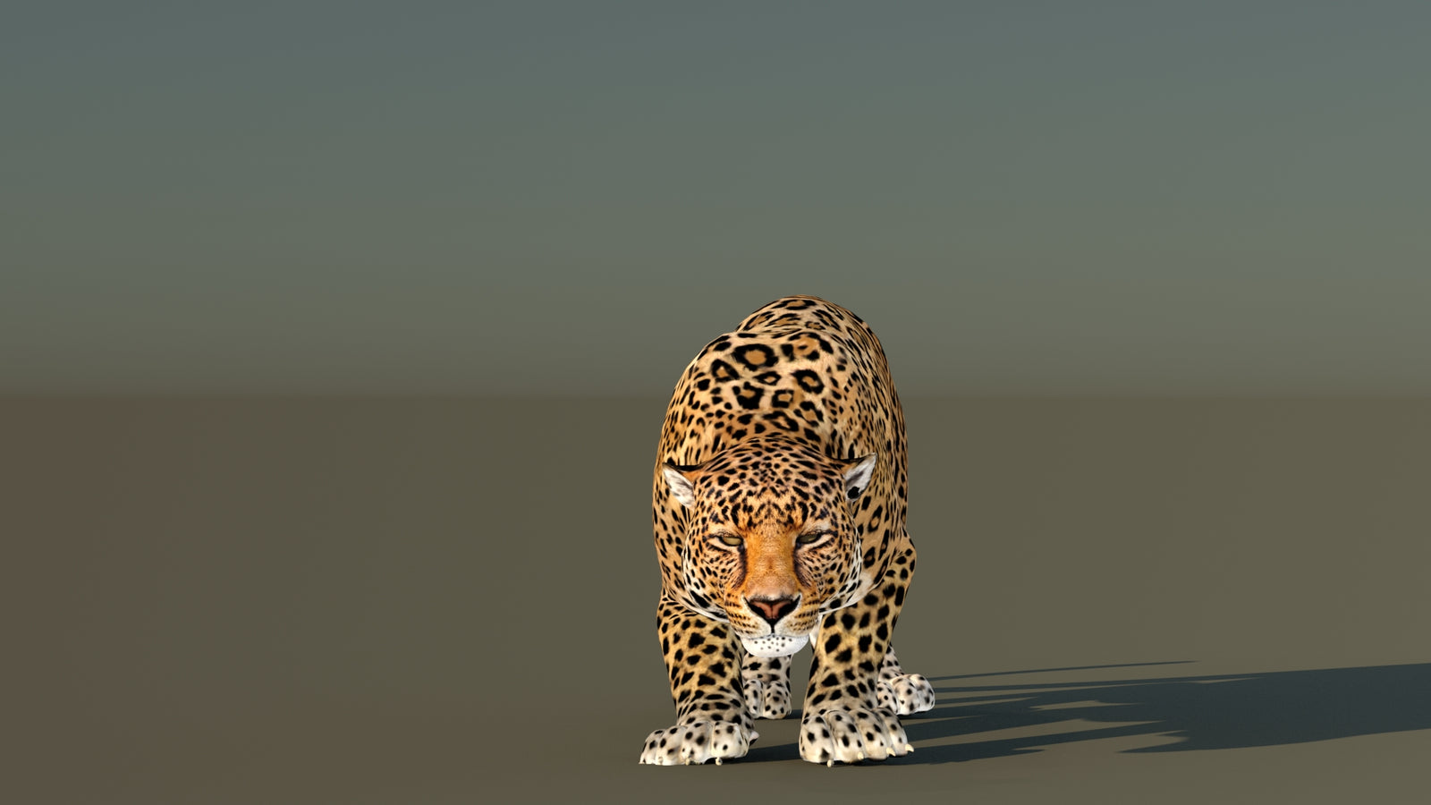 Leopard 3D Model Animated 360° view 6 frame 5