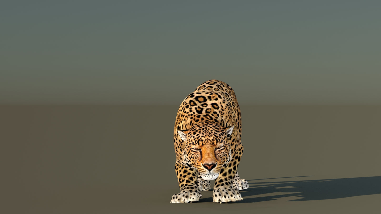 Leopard 3D Model Animated 360° view 6 frame 6
