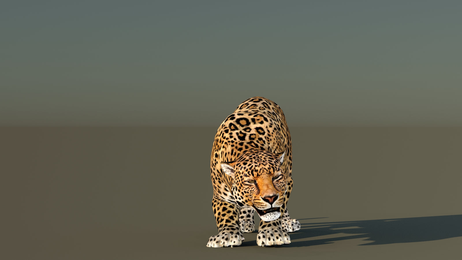 Leopard 3D Model Animated 360° view 6 frame 9