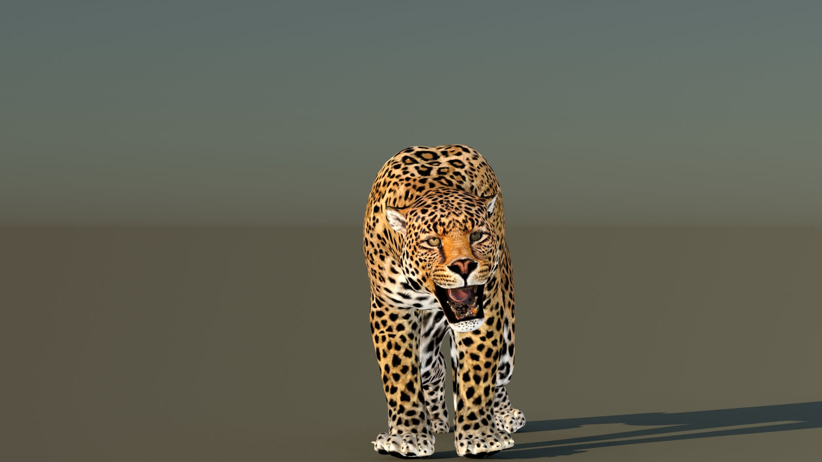 Leopard 3D Model Animated 360° view 6 frame 17