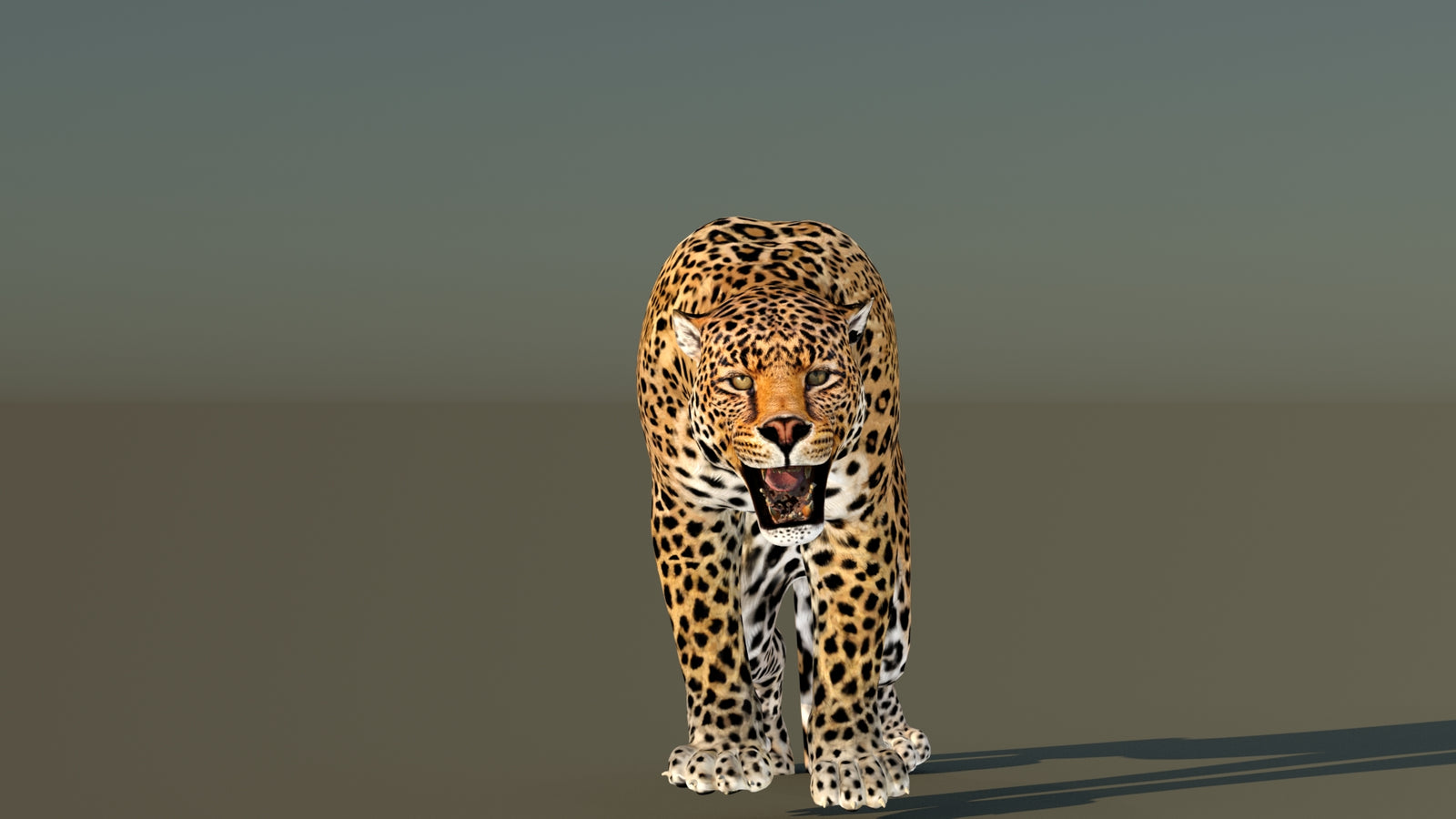 Leopard 3D Model Animated 360° view 6 frame 18