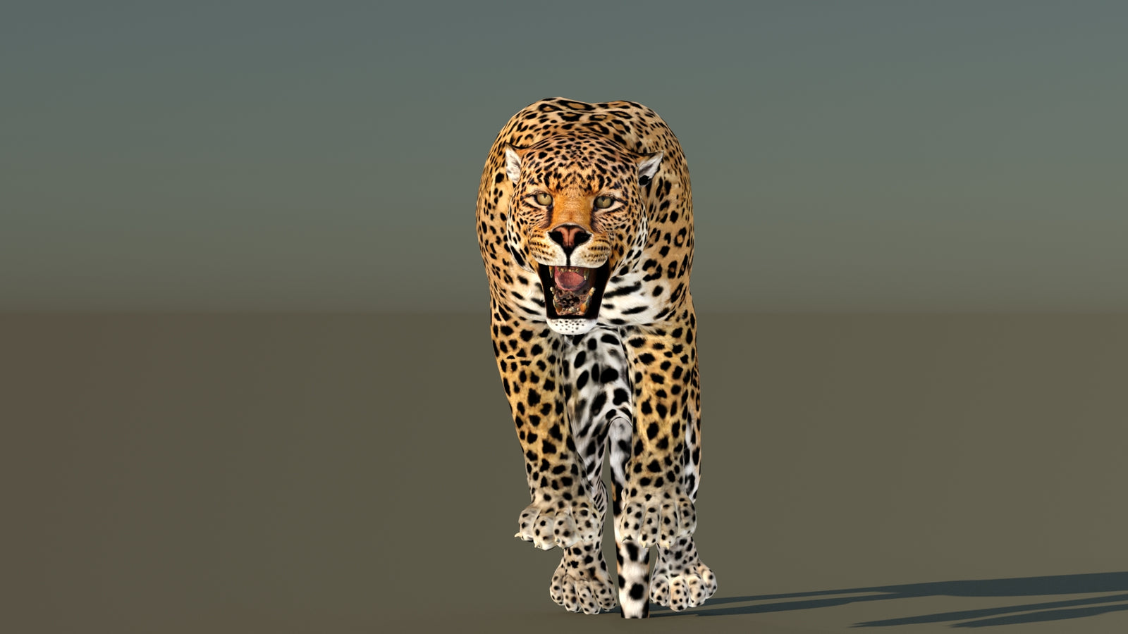 Leopard 3D Model Animated 360° view 6 frame 20