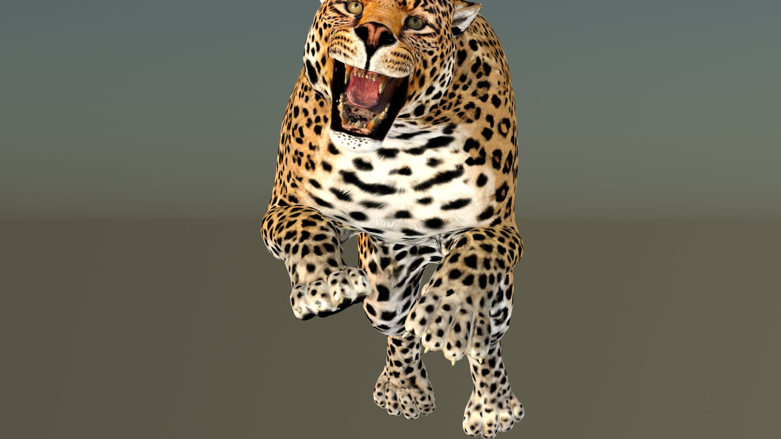 Leopard 3D Model Animated 360° view 6 frame 27
