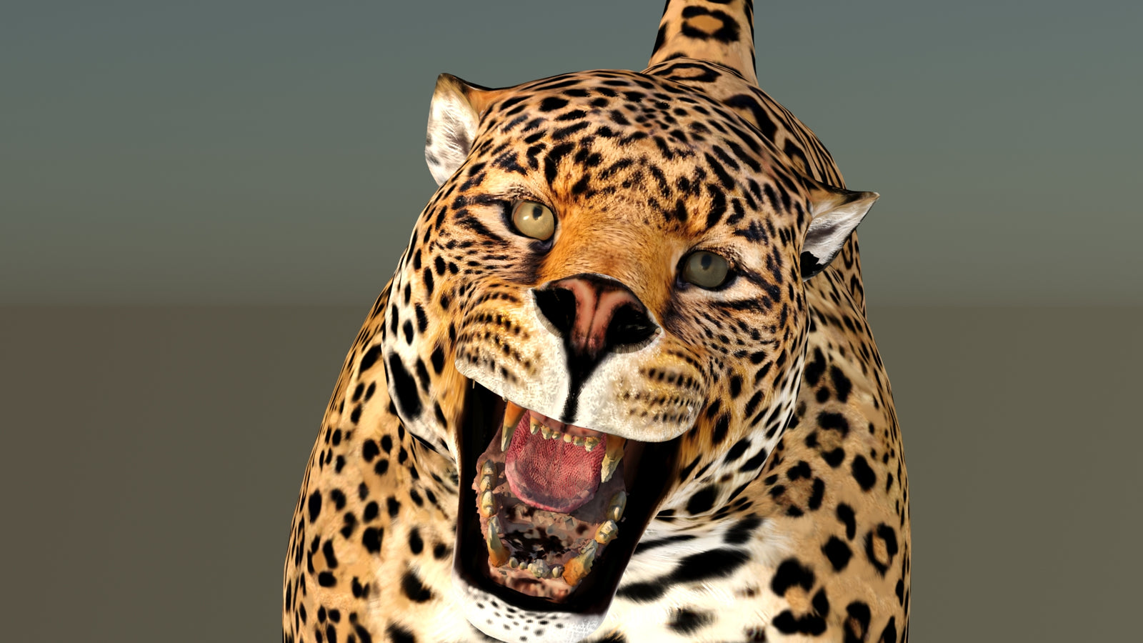 Leopard 3D Model Animated 360° view 6 frame 32