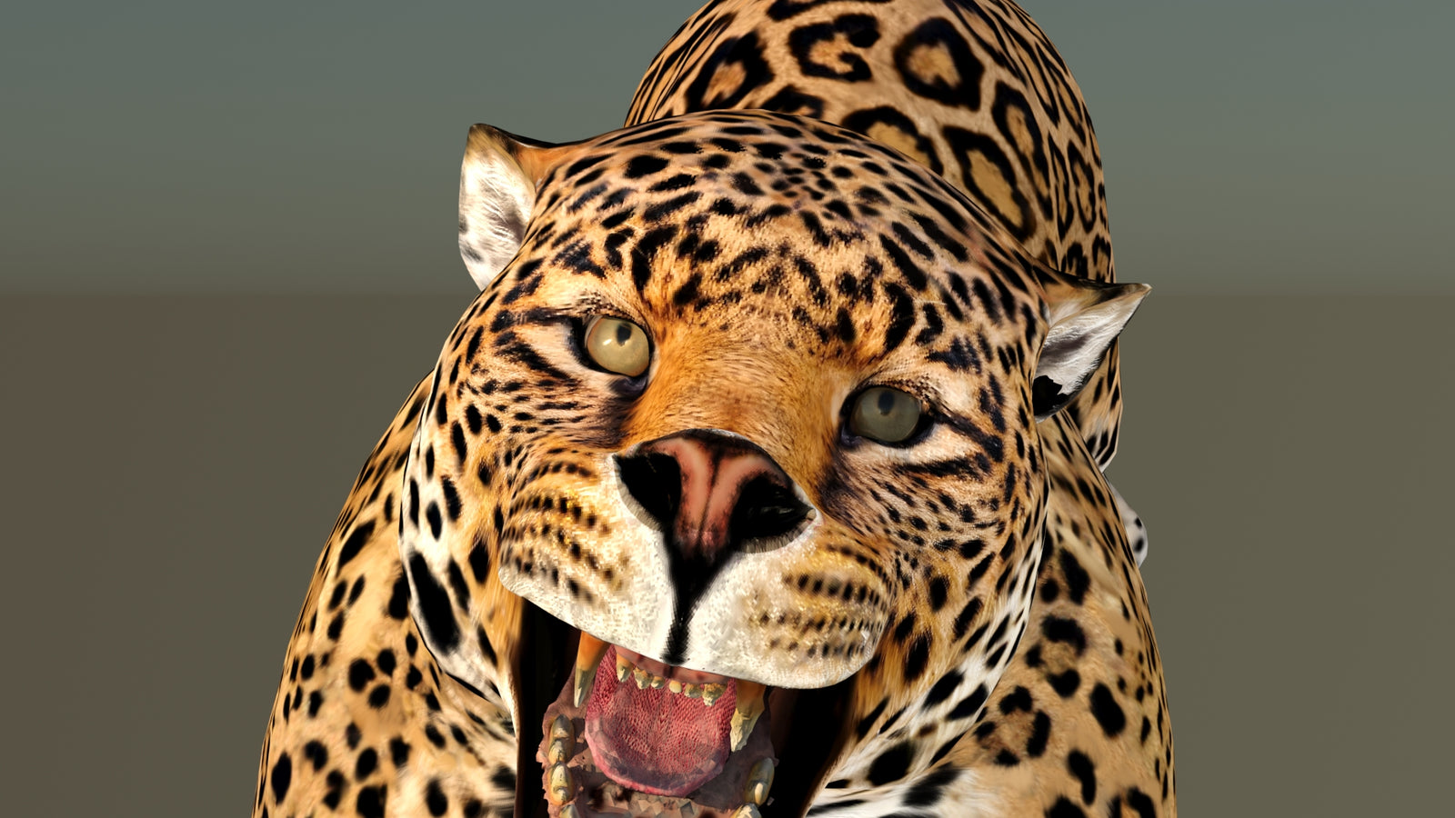 Leopard 3D Model Animated 360° view 6 frame 34