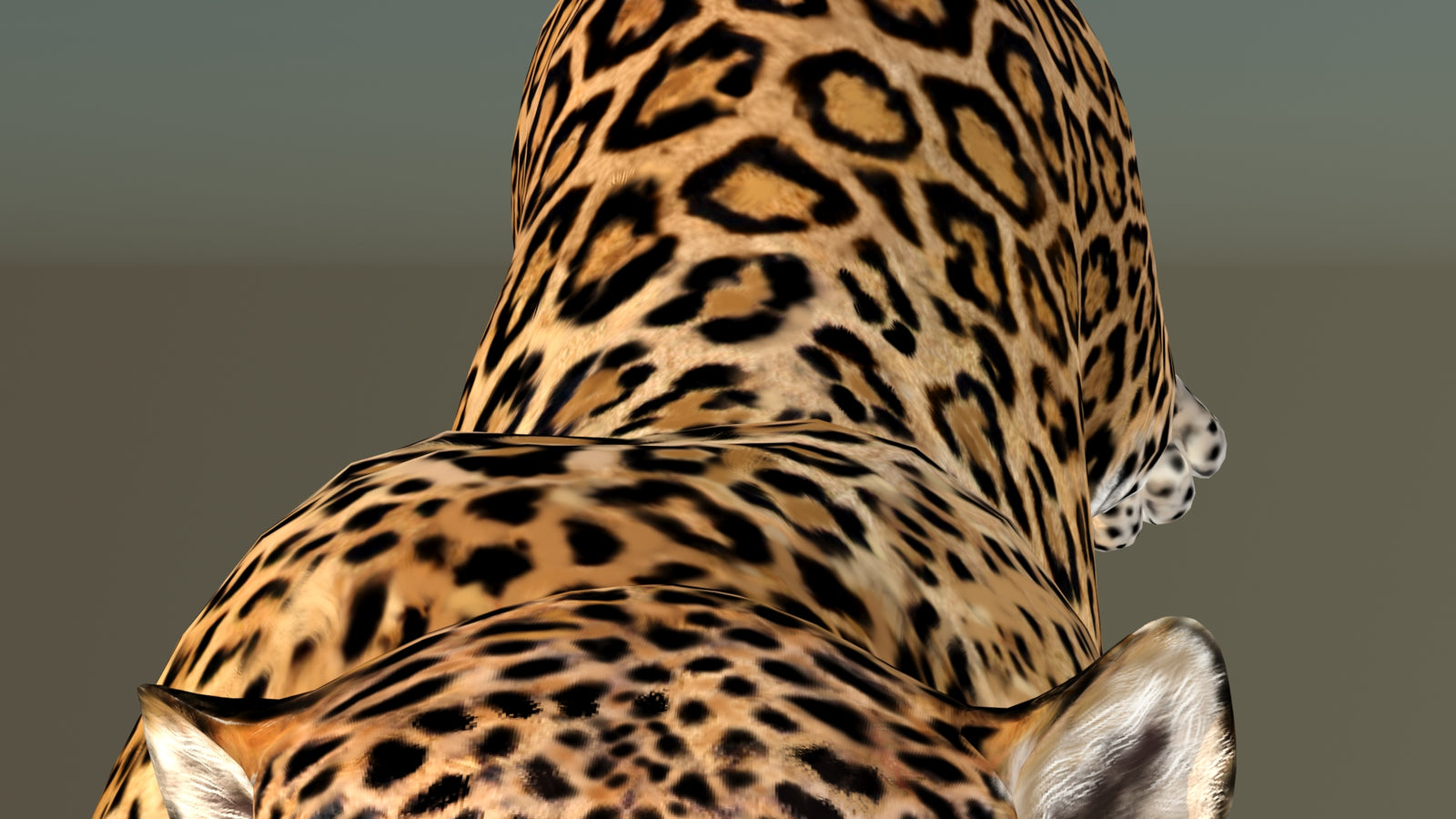 Leopard 3D Model Animated 360° view 6 frame 39