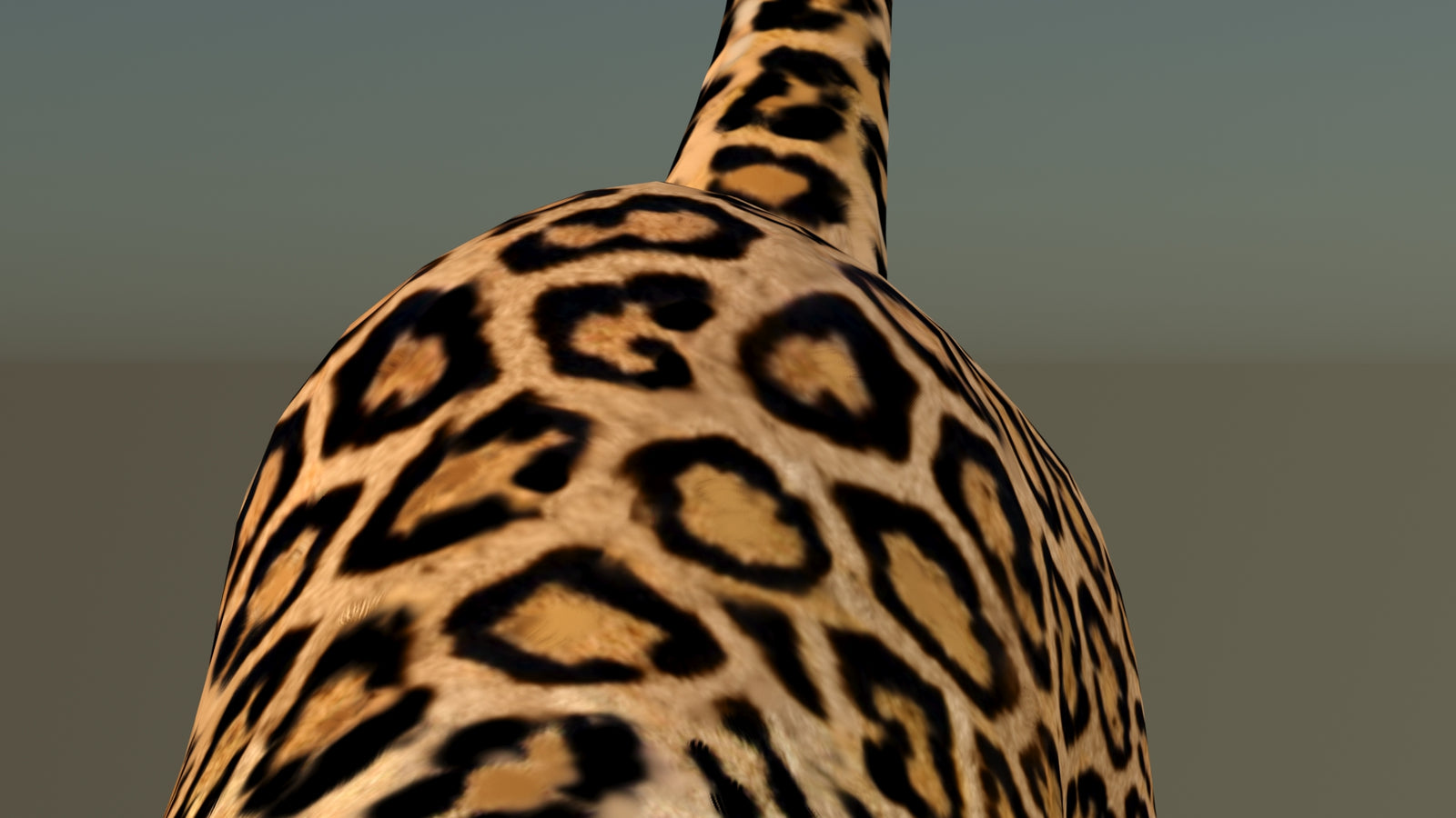 Leopard 3D Model Animated 360° view 6 frame 46