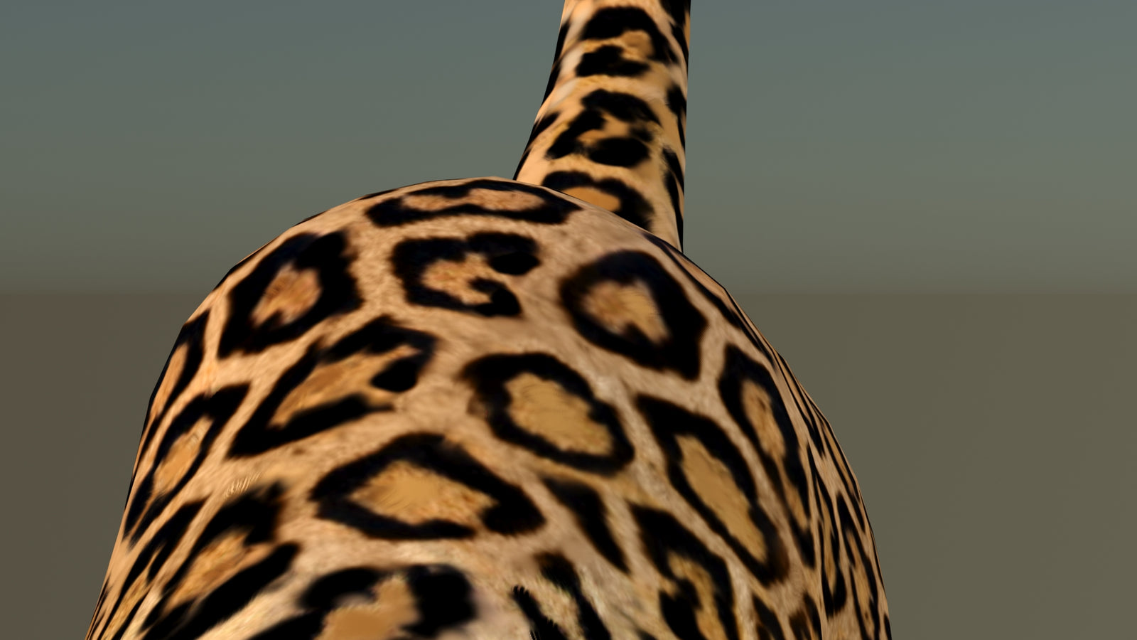 Leopard 3D Model Animated 360° view 6 frame 47