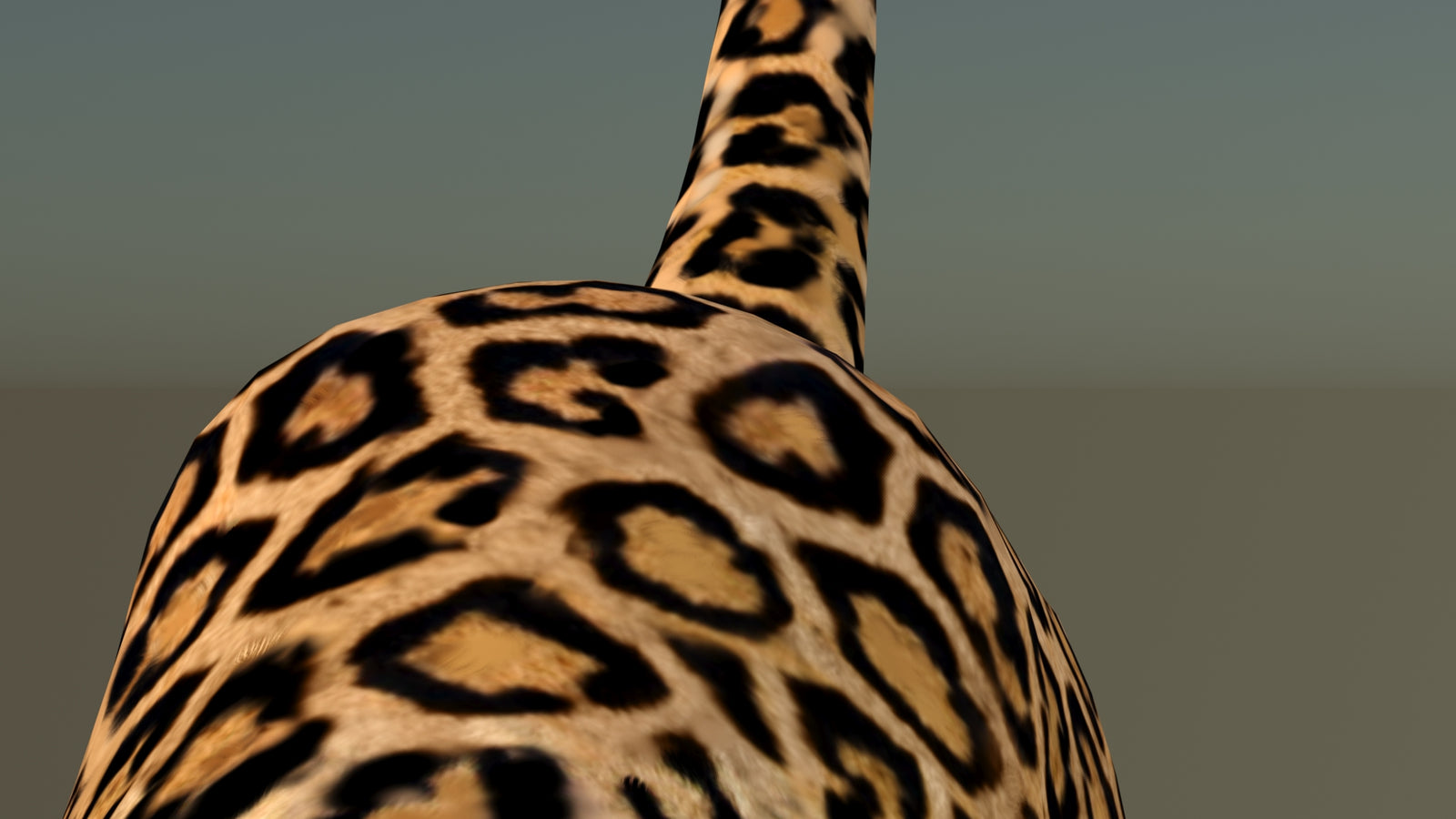 Leopard 3D Model Animated 360° view 6 frame 48