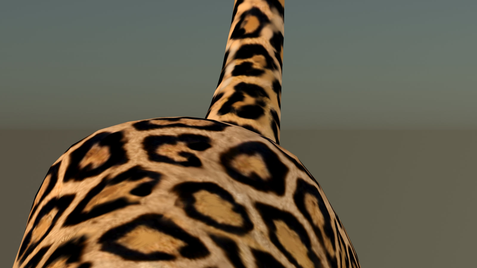 Leopard 3D Model Animated 360° view 6 frame 49