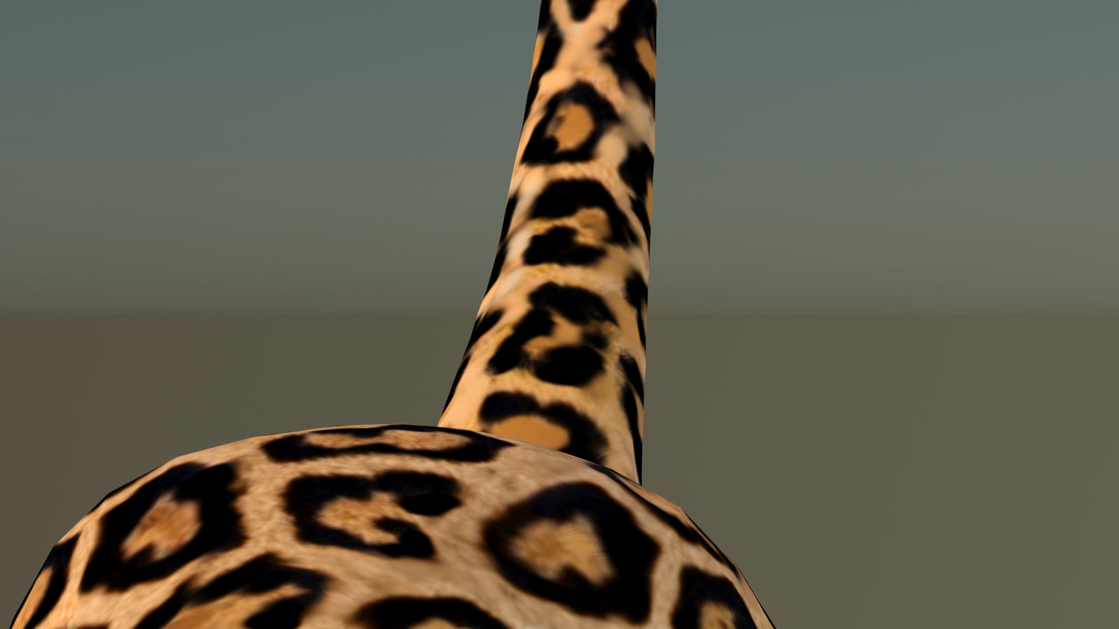 Leopard 3D Model Animated 360° view 6 frame 51
