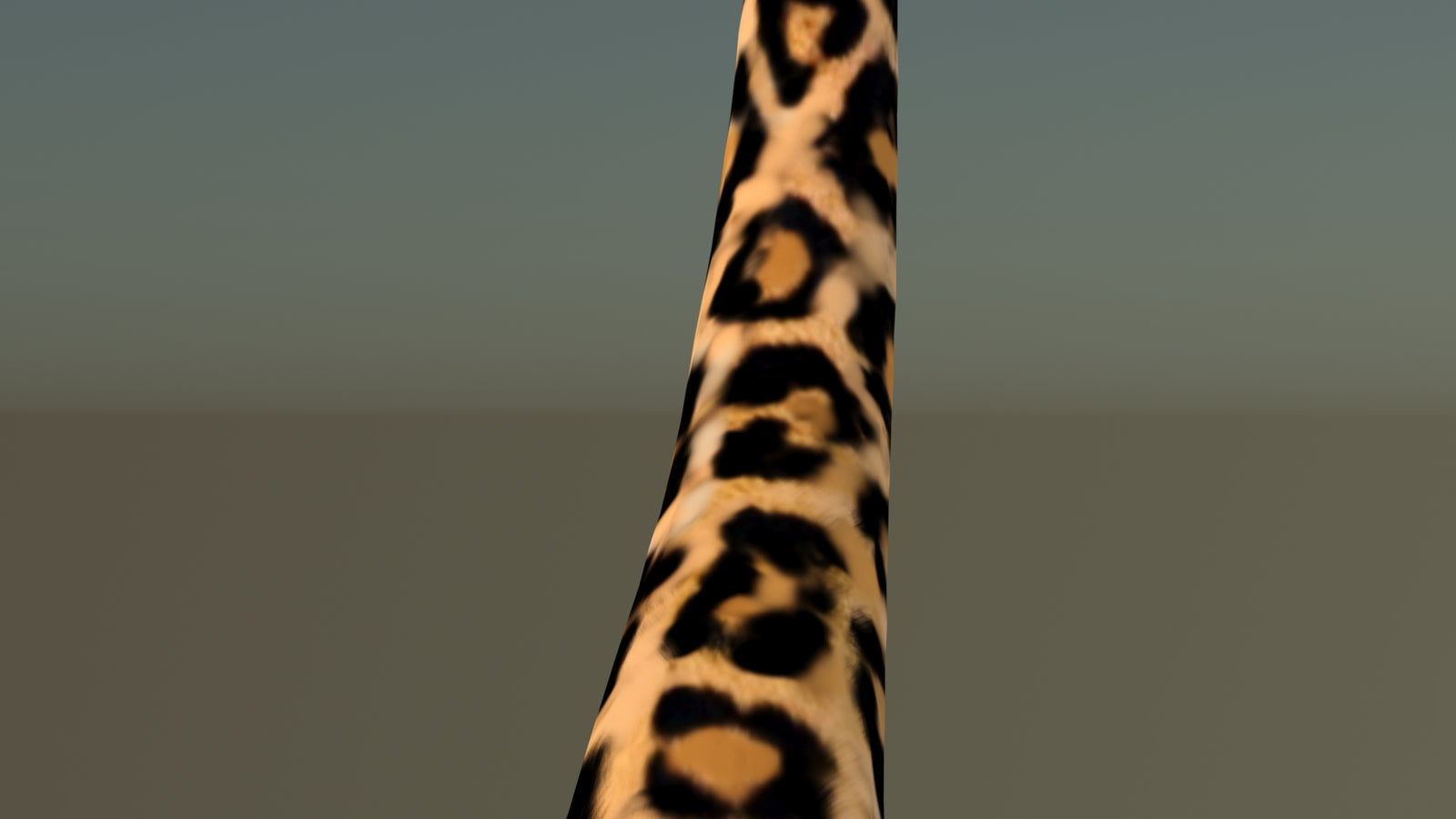 Leopard 3D Model Animated 360° view 6 frame 54