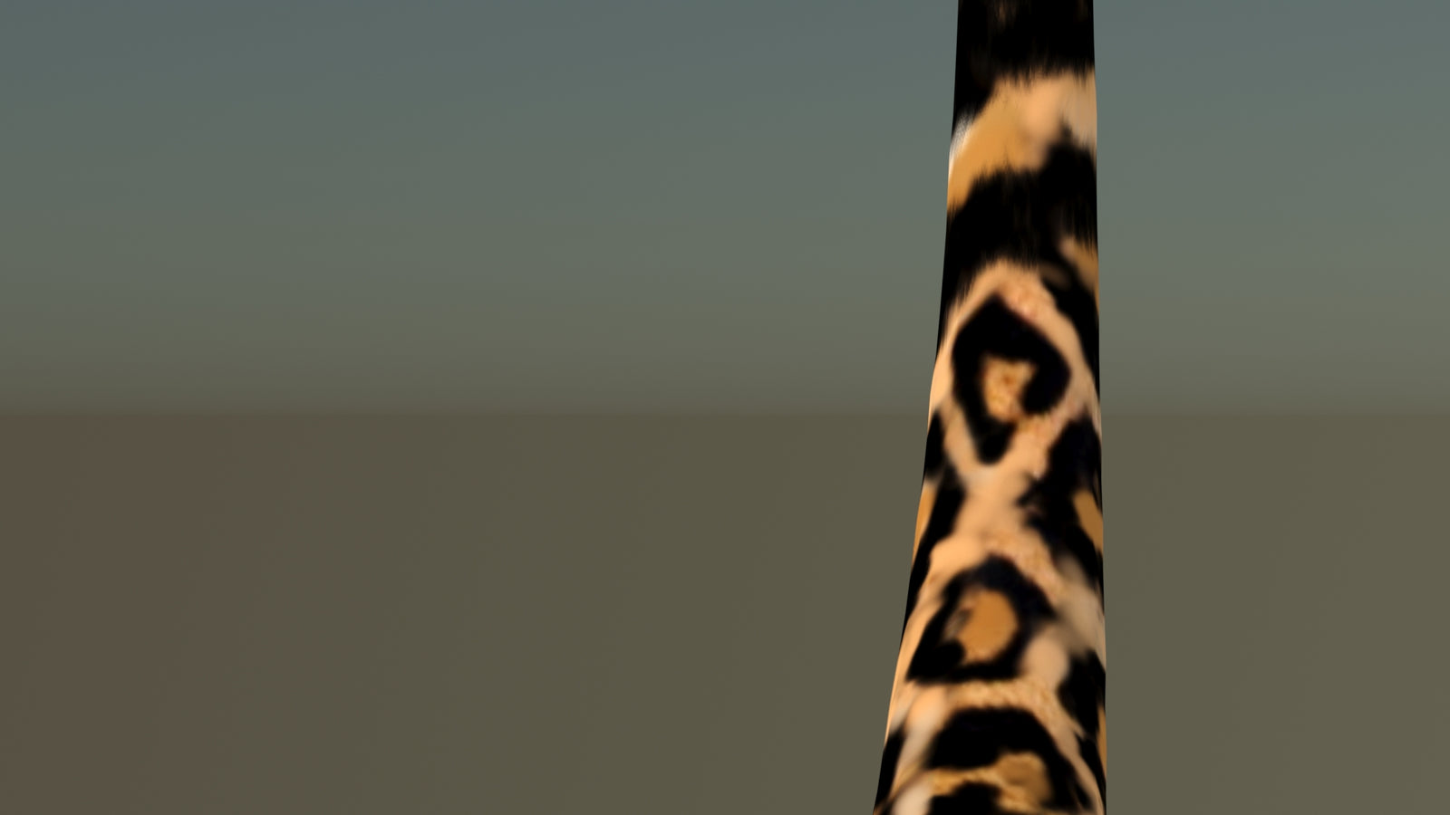 Leopard 3D Model Animated 360° view 6 frame 59