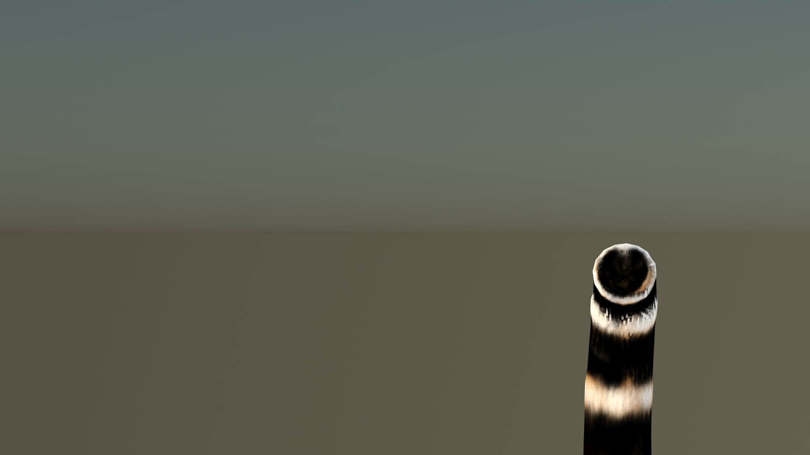 Leopard 3D Model Animated 360° view 6 frame 63