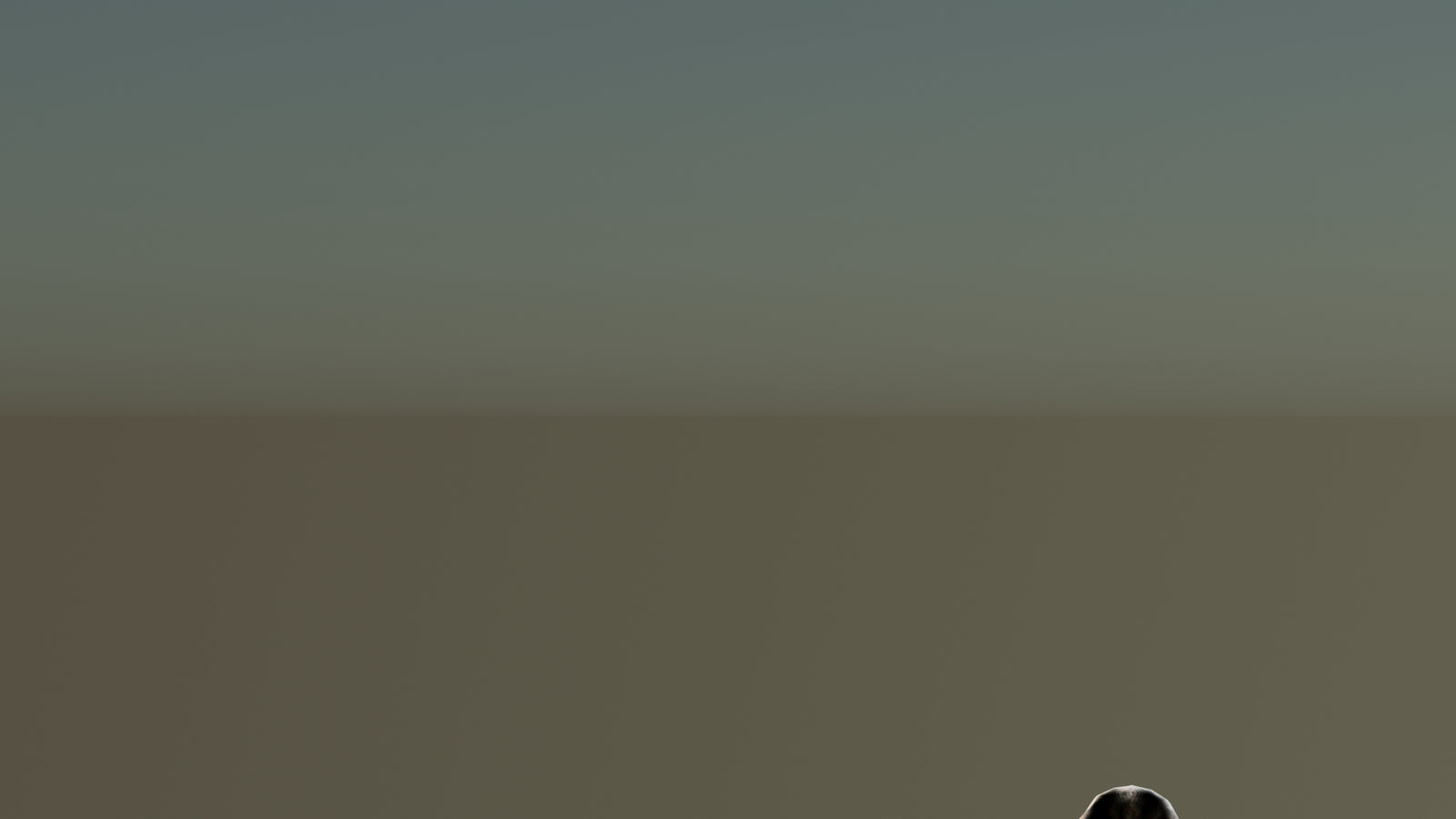 Leopard 3D Model Animated 360° view 6 frame 64