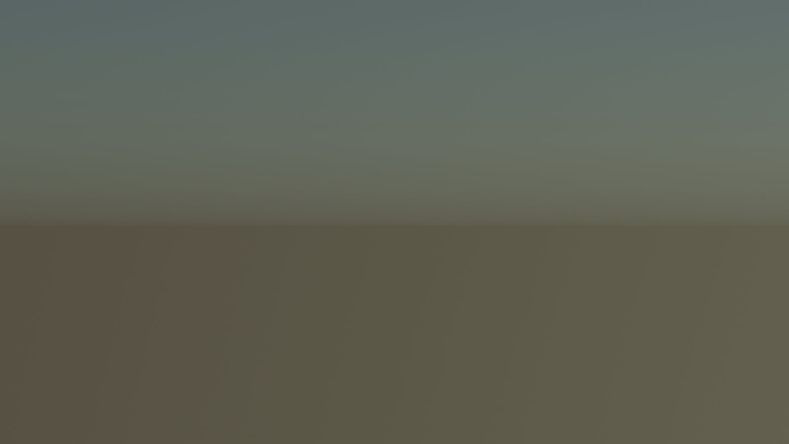 Leopard 3D Model Animated 360° view 6 frame 65