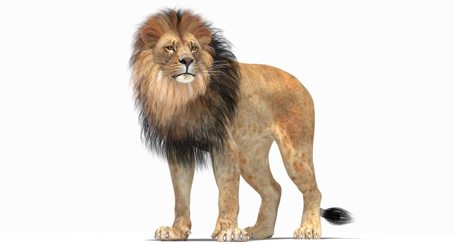 Rigged Lion 3D Model - Polygonal Mane