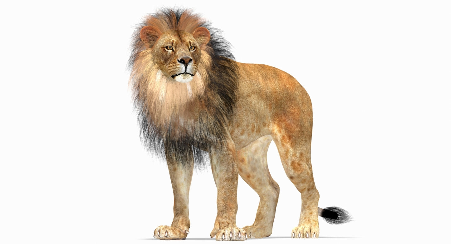 Rigged Lion 3D Model - Polygonal Mane