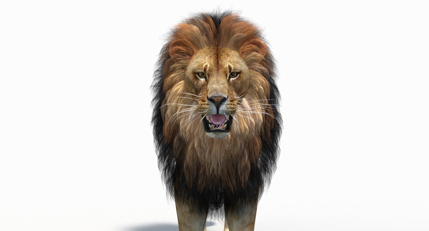Rigged Lion 3D Model with Polygonal Mane for Download Head Close Up