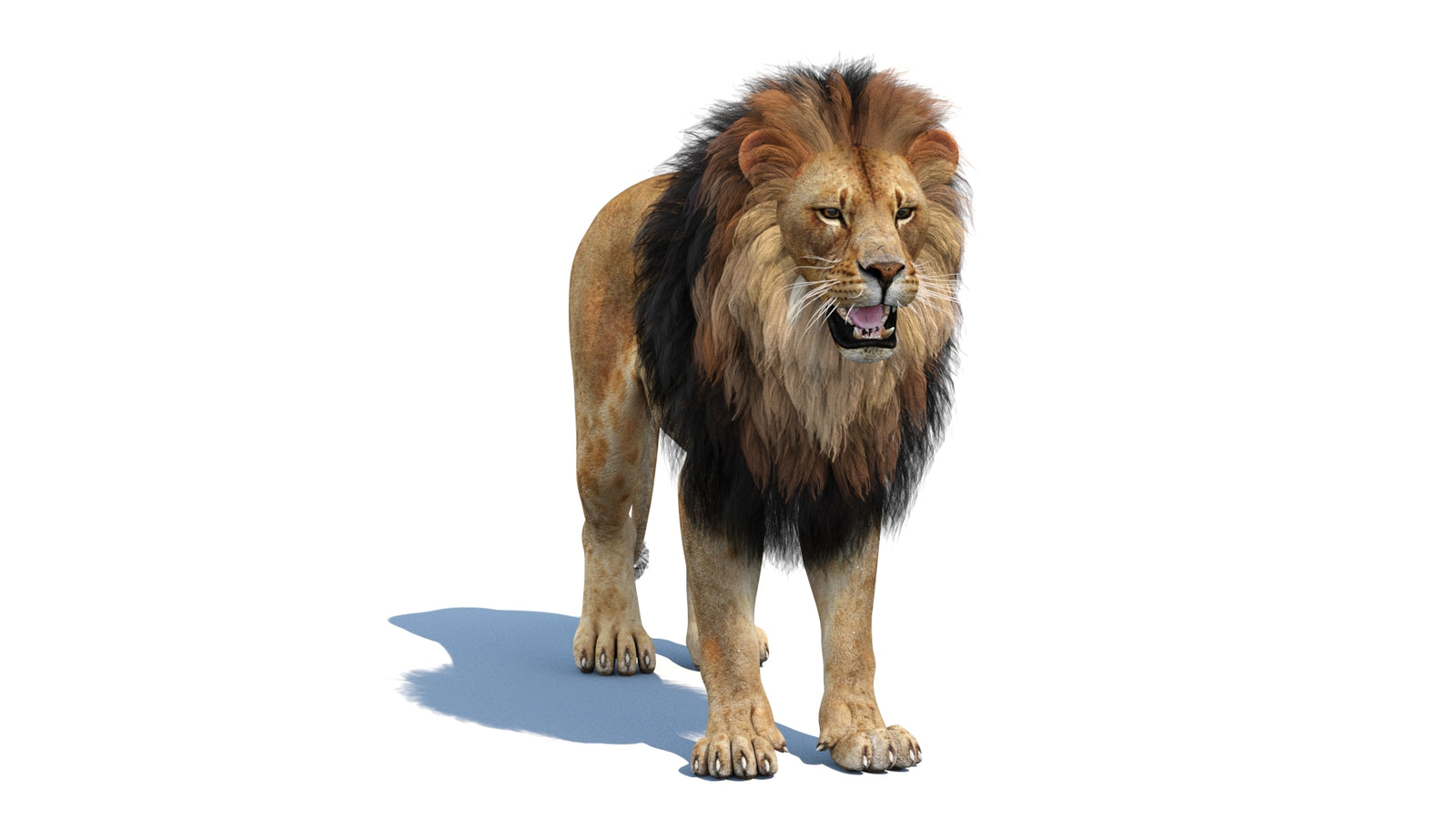 Lion 3D Model 360° view 1 frame 3