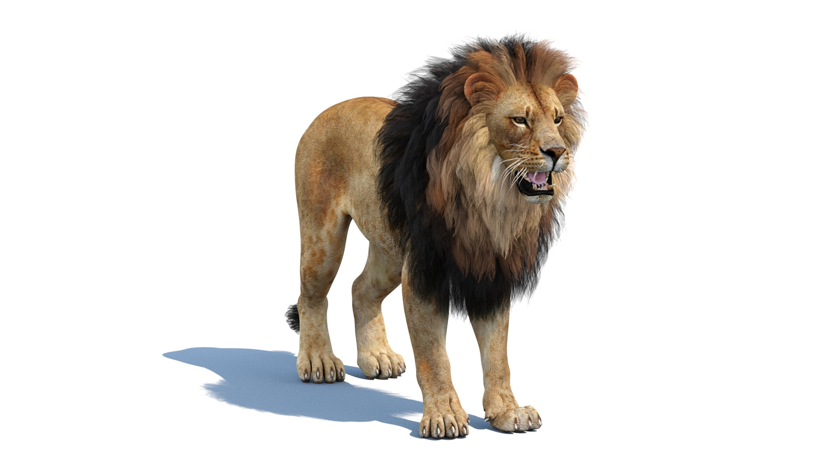 Lion 3D Model 360° view 1 frame 4