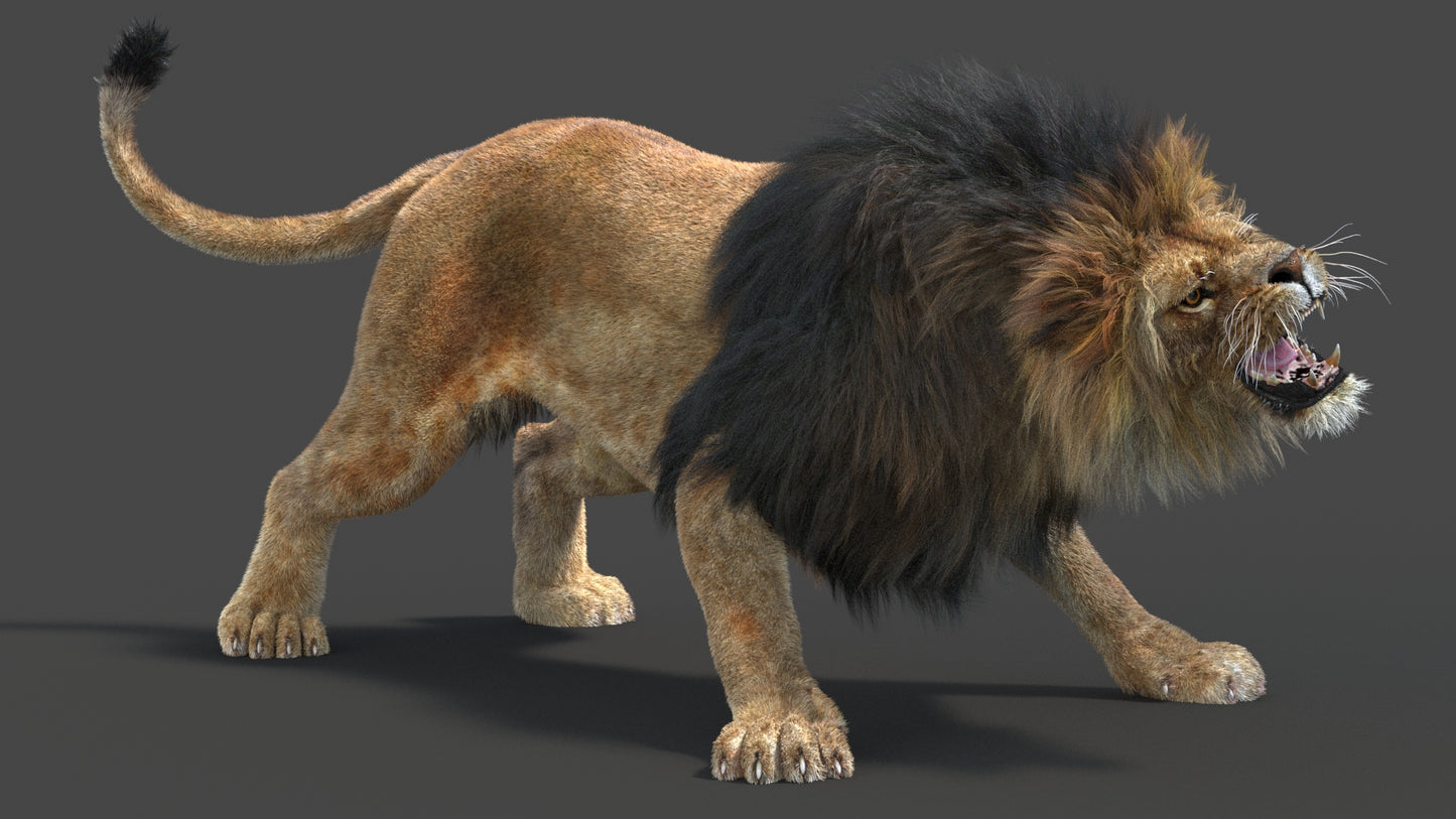Rigged Lion 3D Model Fur